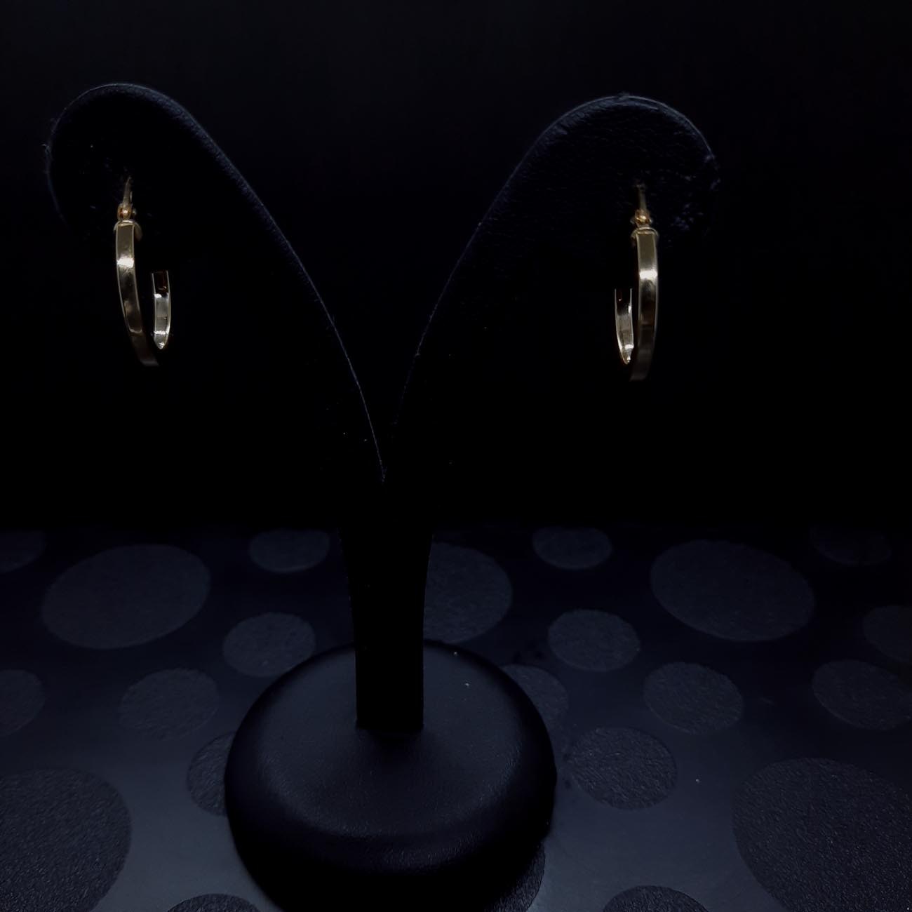 Χρυσοί κρίκοι Κ14