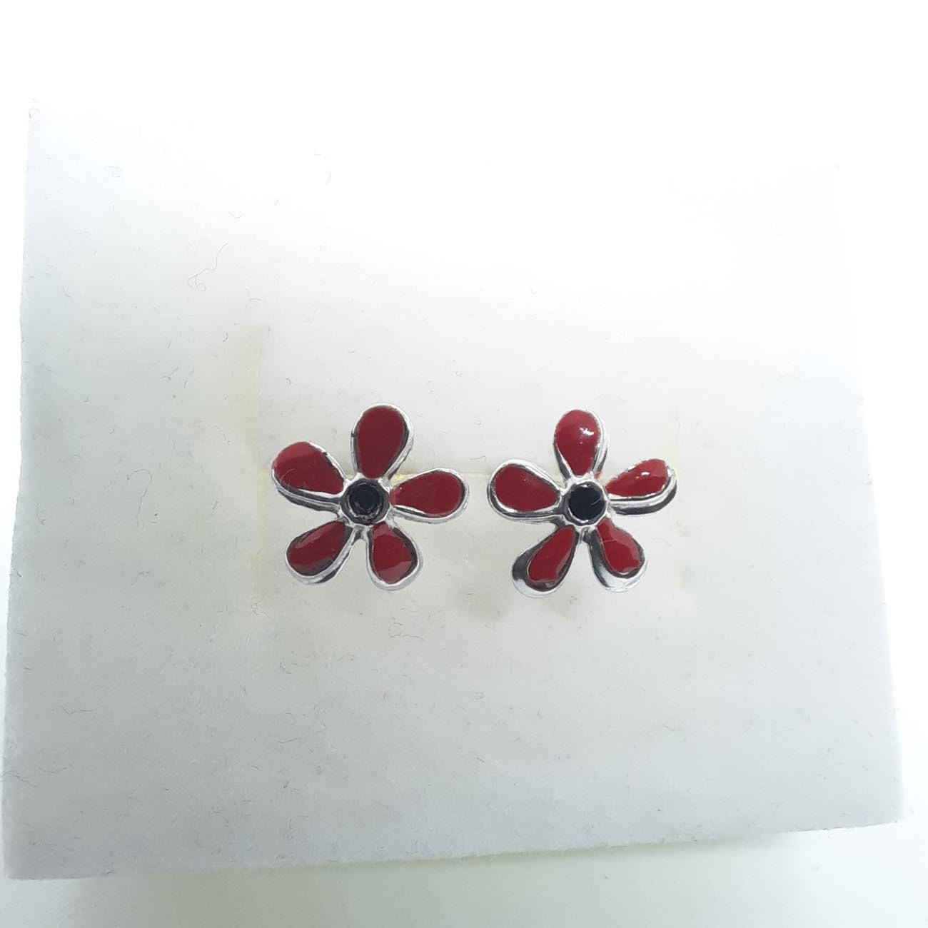 Ασημένια σκουλαρίκια 