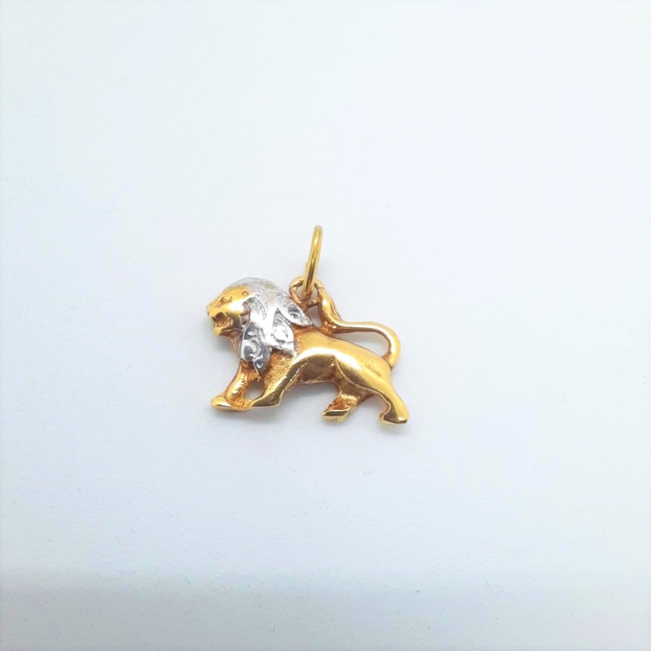 Χρυσό ζώδιο Λέων Κ14