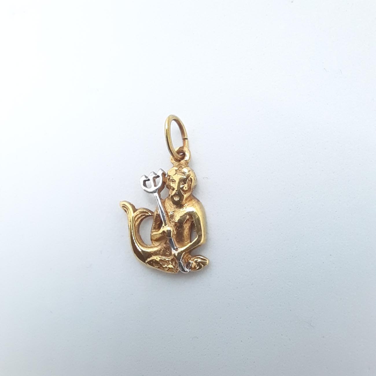 Χρυσό ζώδιο Υδροχόος Κ14