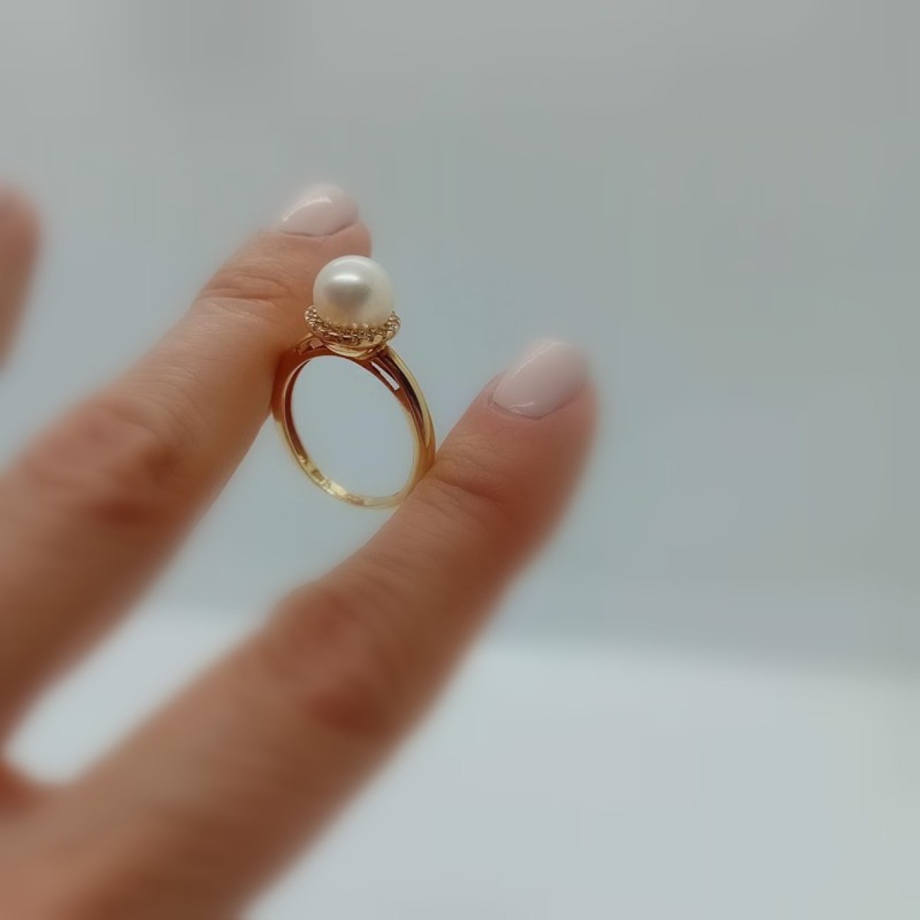 462572822_1092637042318534_7766978525751575595_n