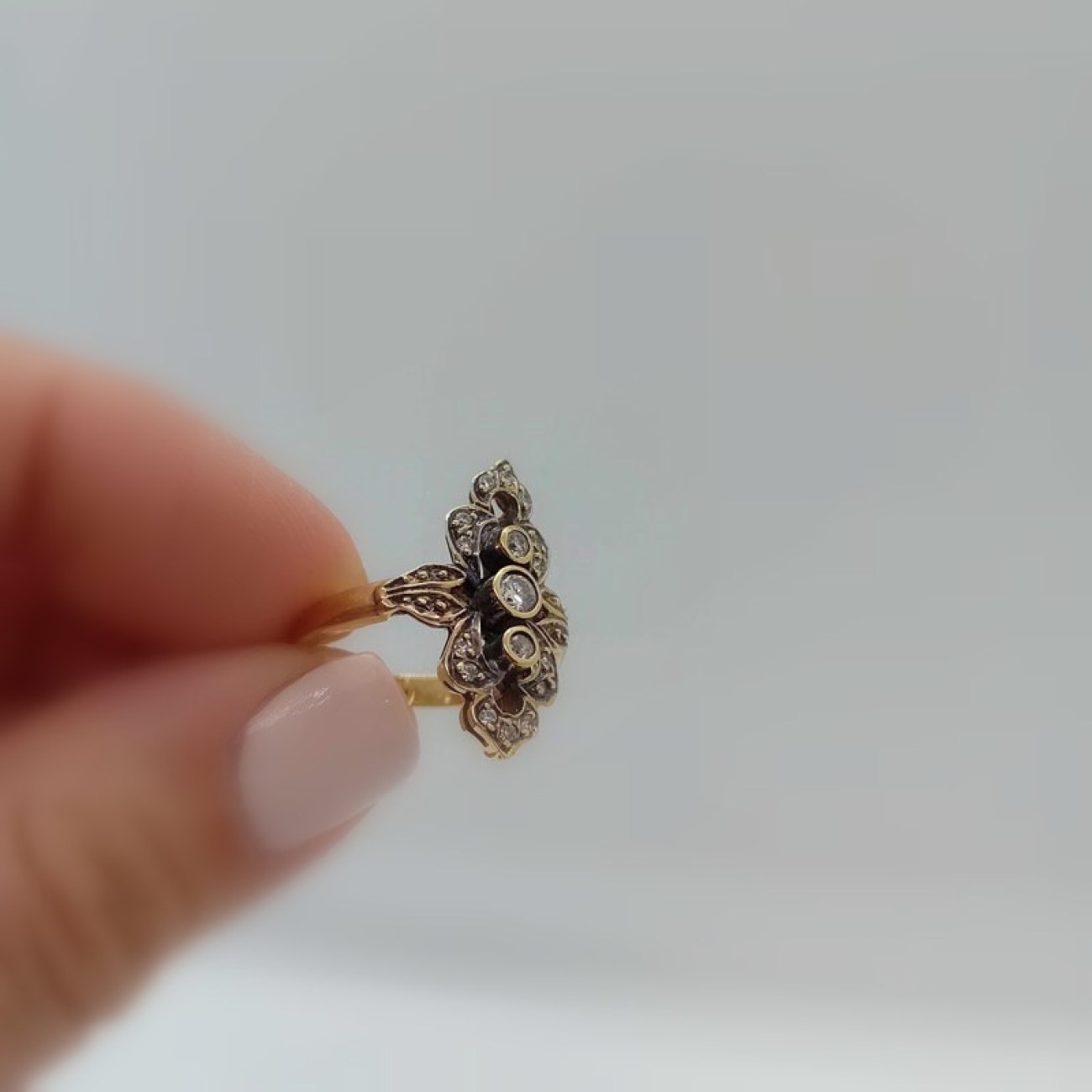 462638076_1231320248078744_7794926742235724349_n