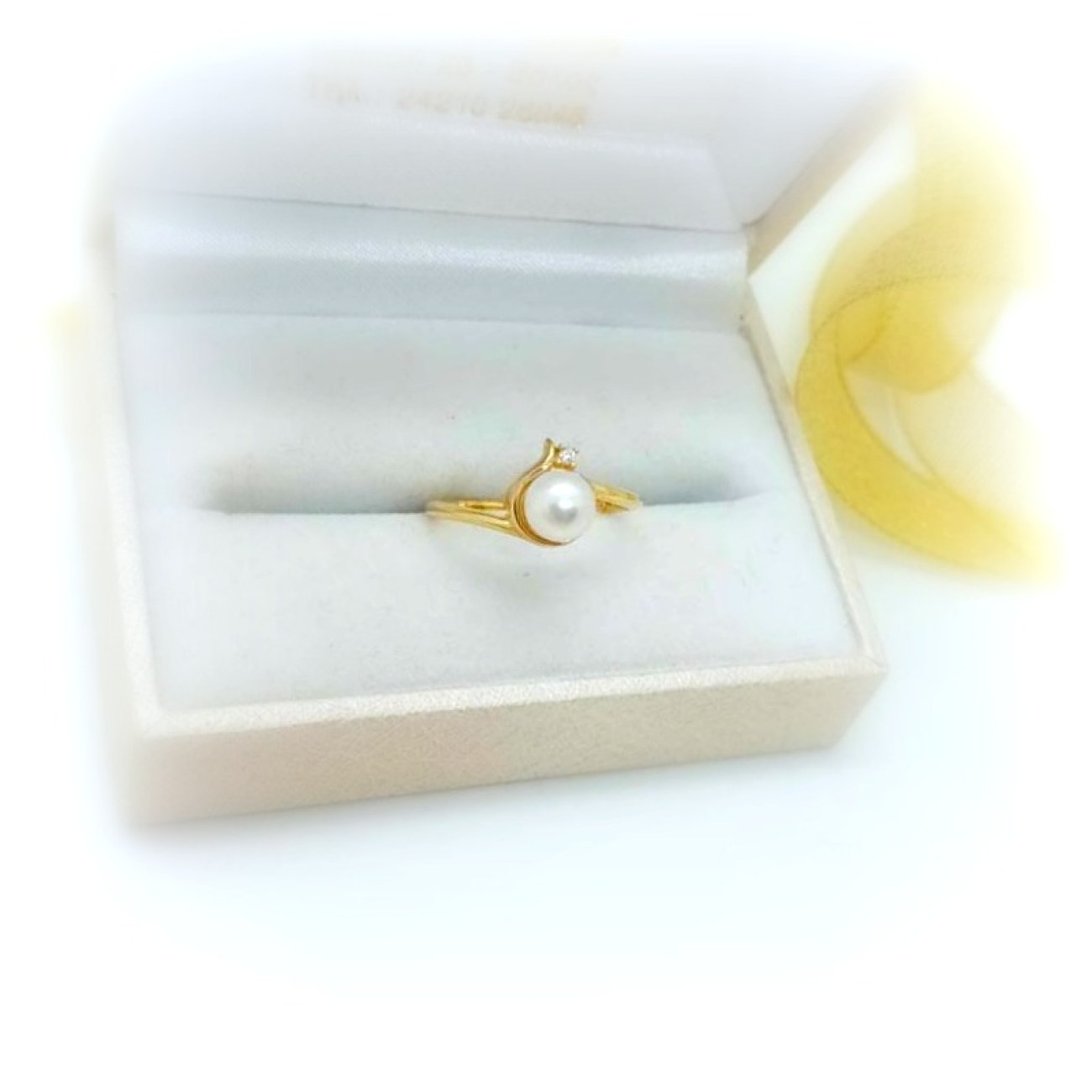 476496108_567274172299168_2474270331709013581_n