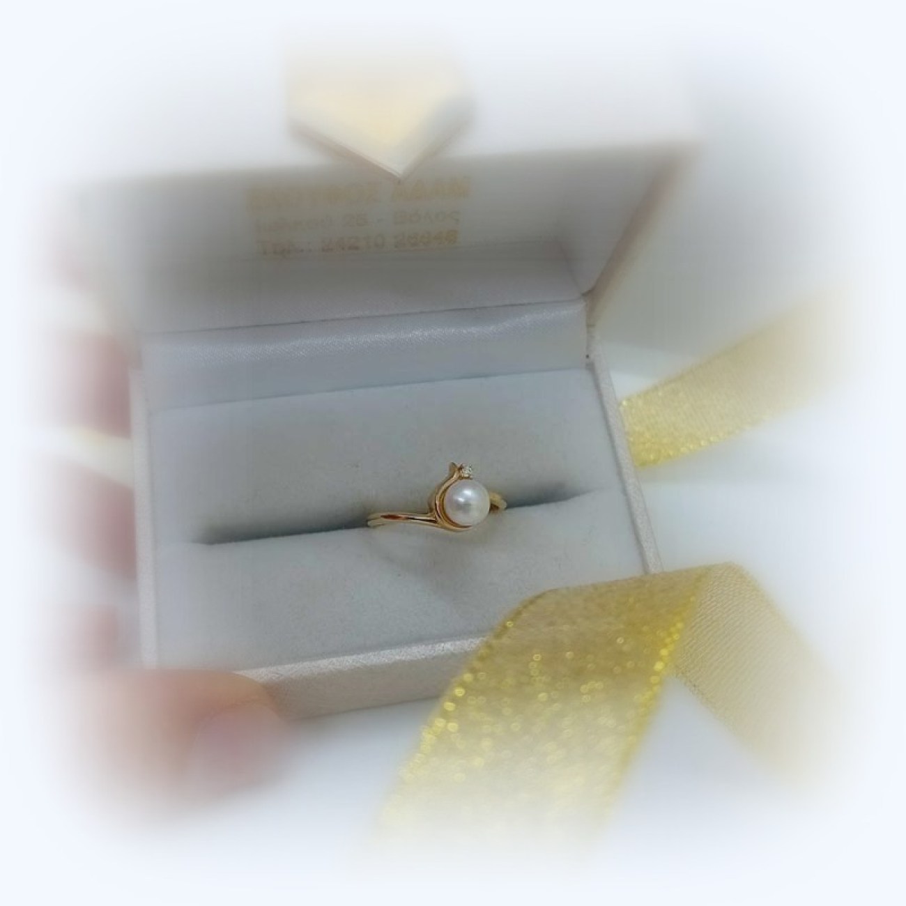 476496721_4074906759459658_1292669145983766200_n