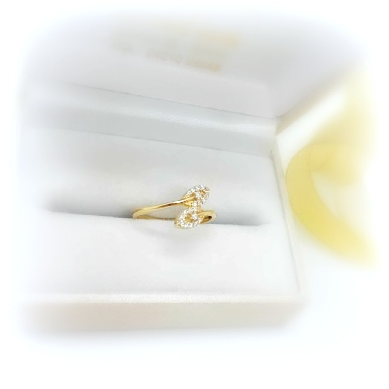 476498806_3815787115341264_2503589832309223523_n