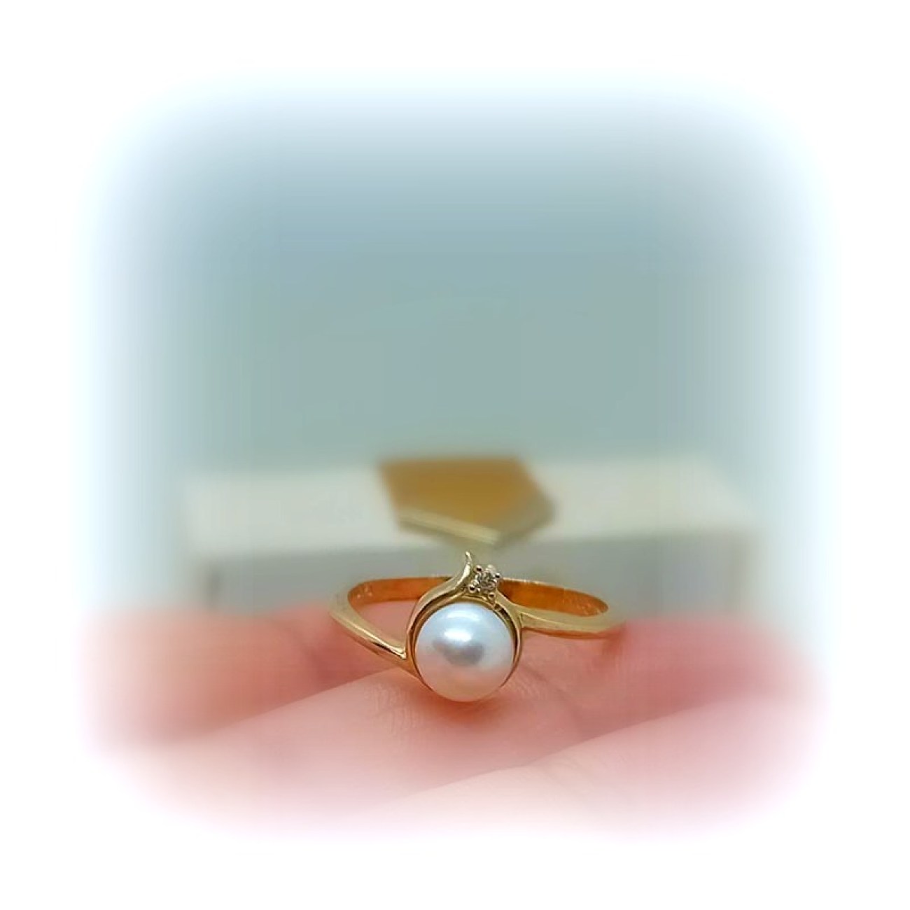 483495872_28697846669862908_5763731783772145885_n