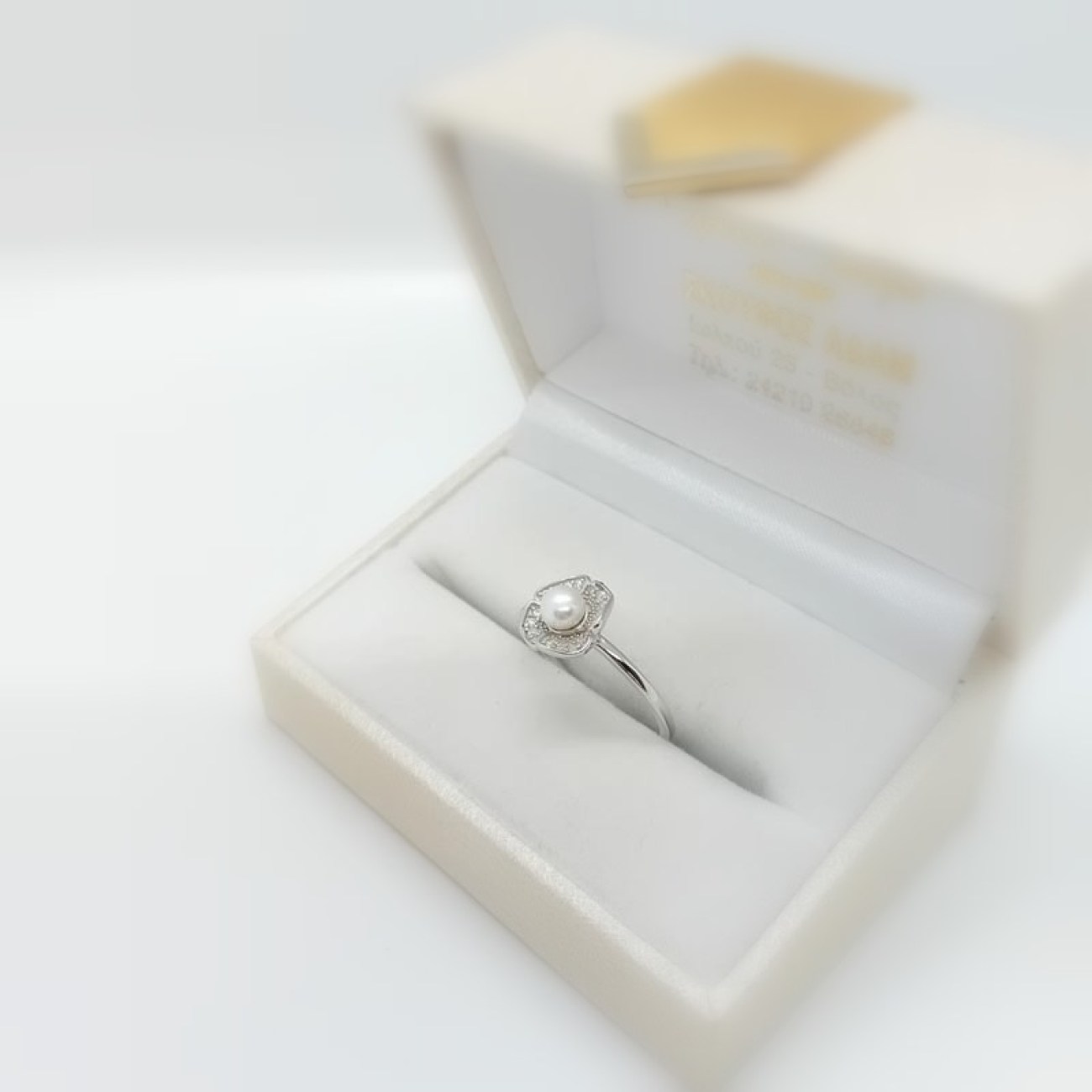 55137000-9937-42a0-bbf6-ae016ecb7643