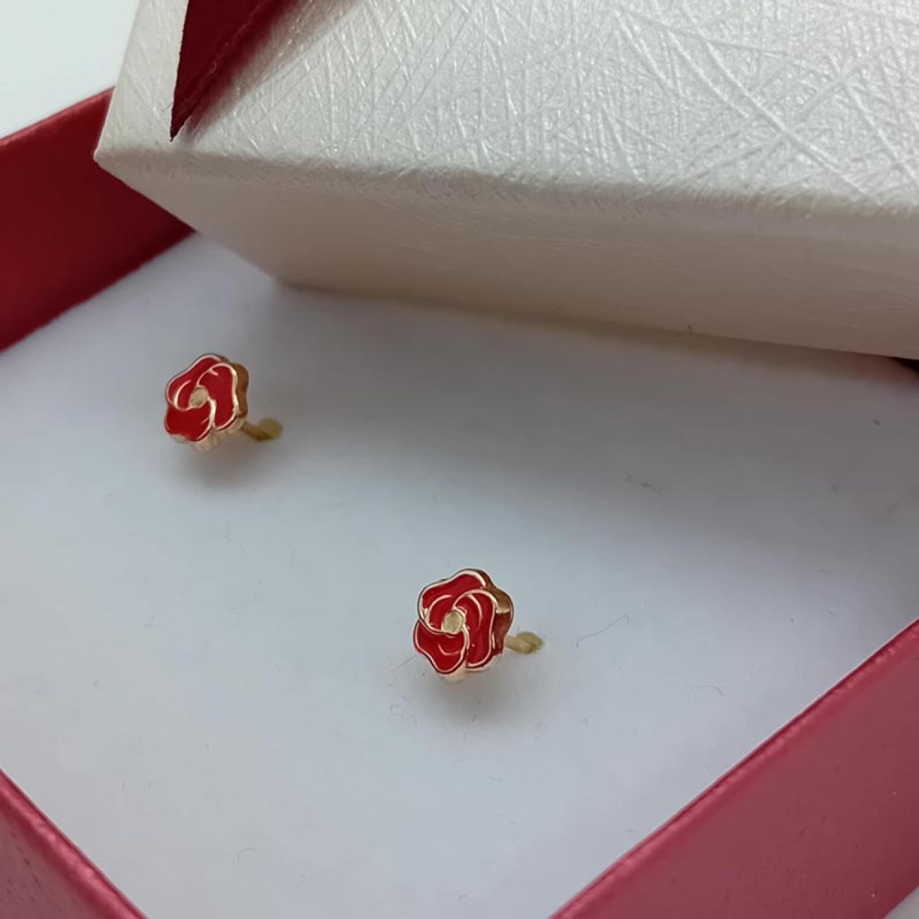 6e4b96fc-6d47-45b6-b1c0-9103e02a9228