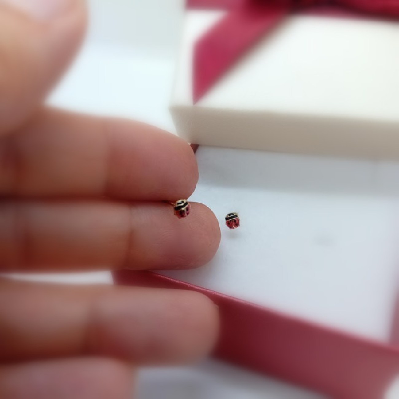 d09a6fba-4451-4b64-8eb2-e9575fc84c47